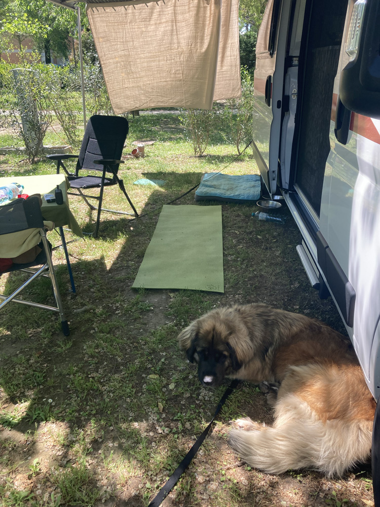 camper