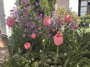 blumen