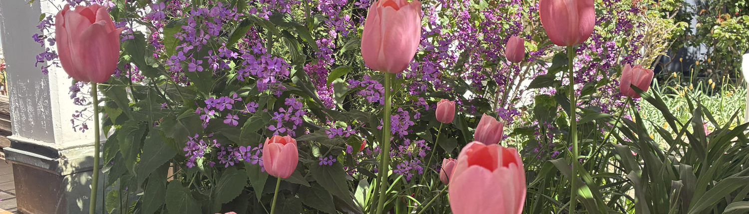 blumen