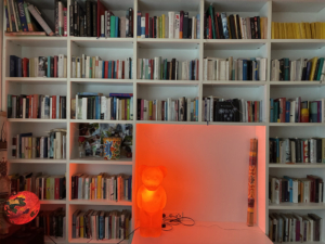 bücherwand neu