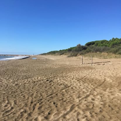 strand mit dünen